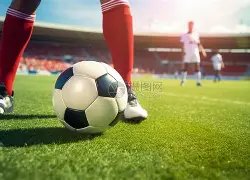 激战正酣,葡超风云再,巨龙雄狮谁,金年会首页,金年会平台,金年会娱乐,金年会官网